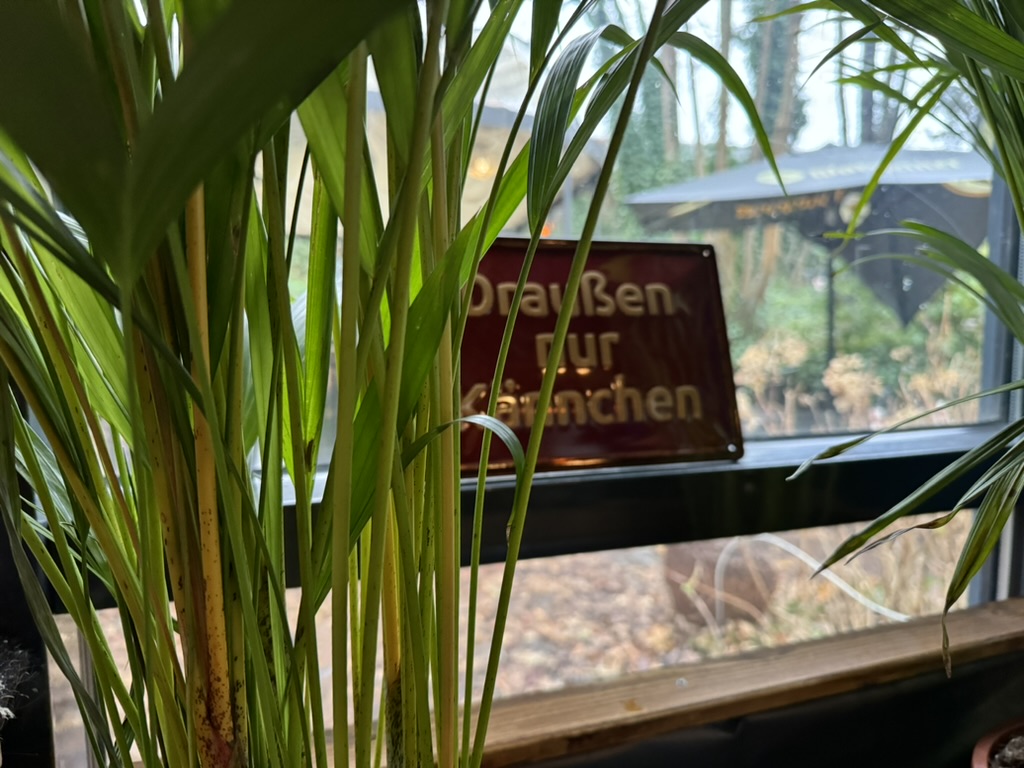 Draußen nur Kännchen